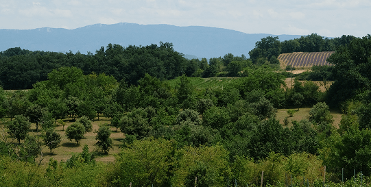 Vue Des Chambres Garenne - Hotel et Restaurant gastronomique en Drôme Provençale