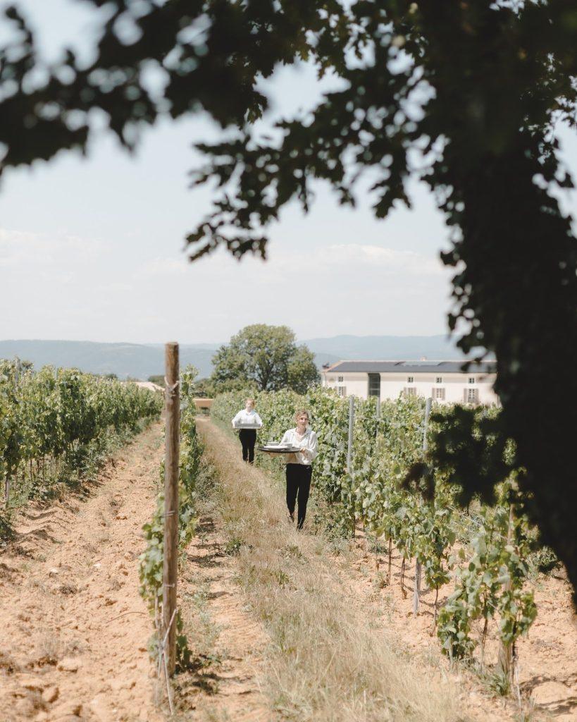 Hôtel entouré de vignes biologiques près de Valence